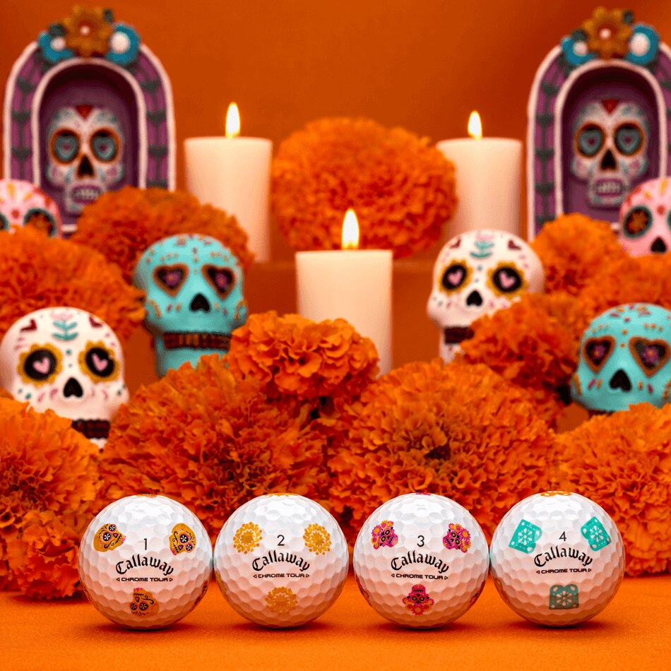 [온라인 단독] 크롬투어 트루비스 Día de Muertos 에디션