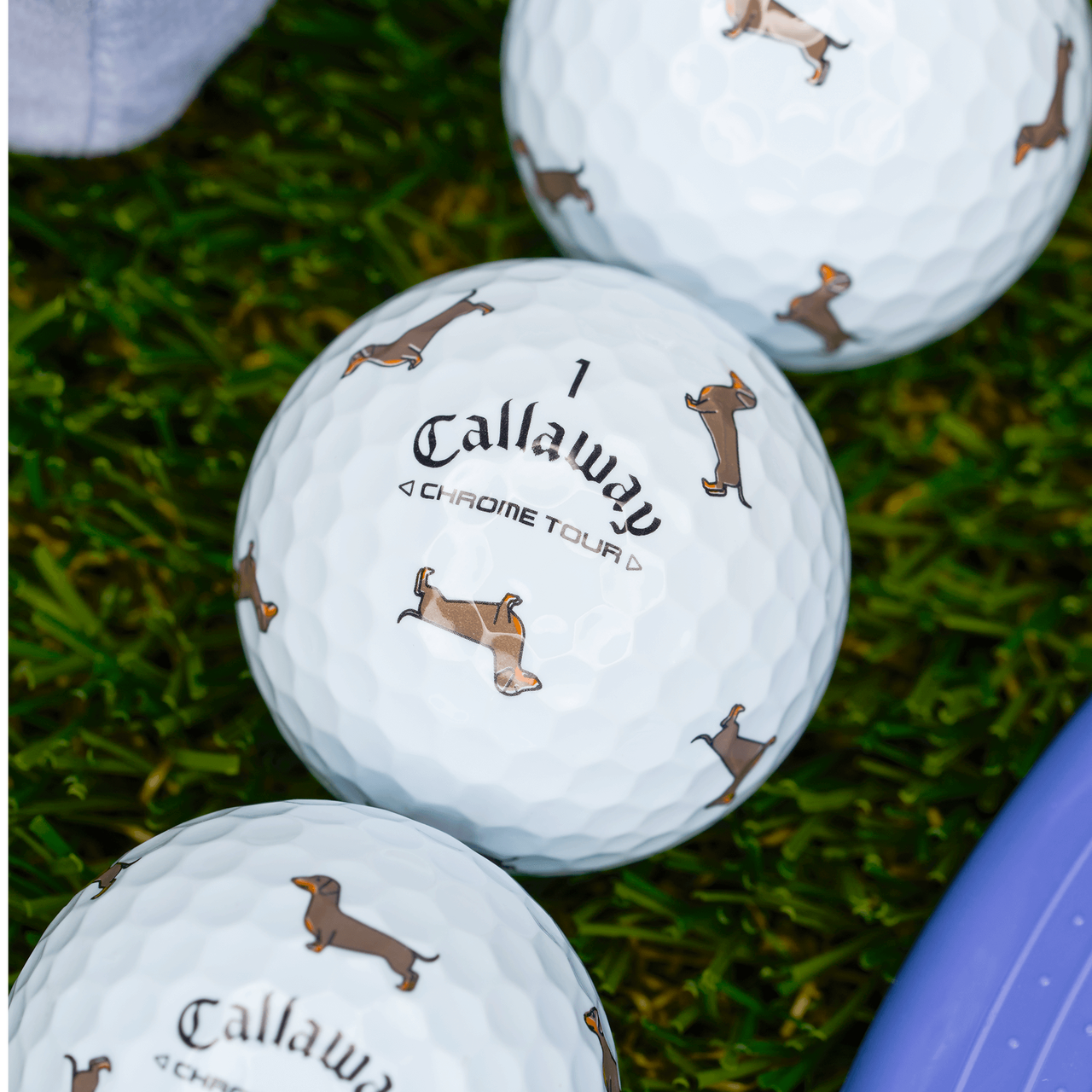 [온라인 단독] 크롬투어 트루비스 스몰독 에디션: 닥스훈트