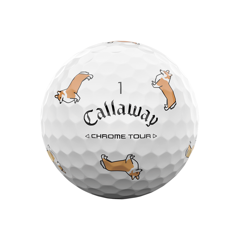 [온라인 단독] 크롬투어 트루비스 스몰독 에디션: 코기