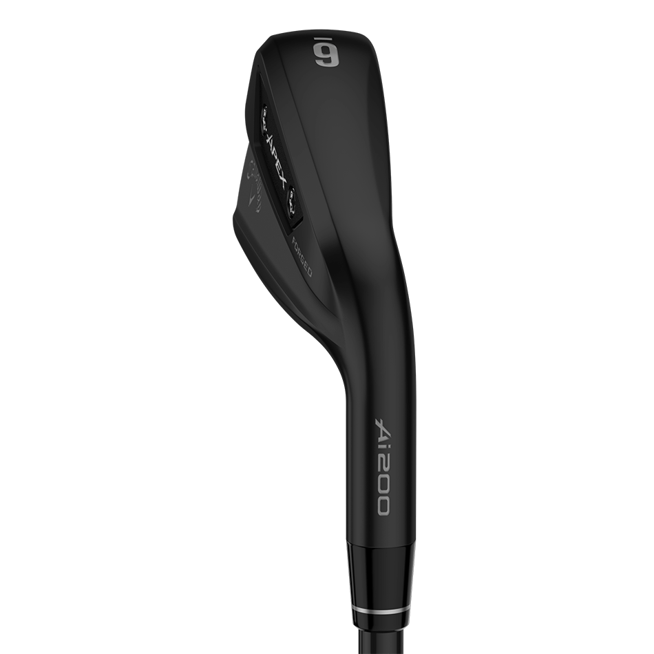 APEX Ai200 Black 아이언