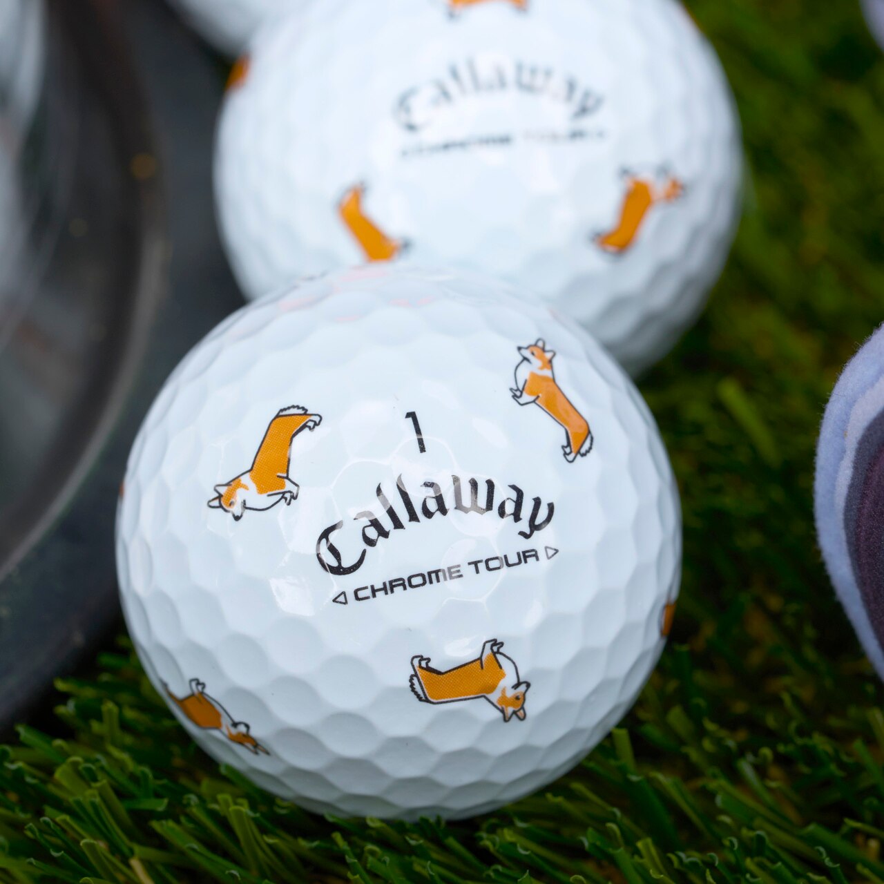 [온라인 단독] 크롬투어 트루비스 스몰독 에디션: 코기