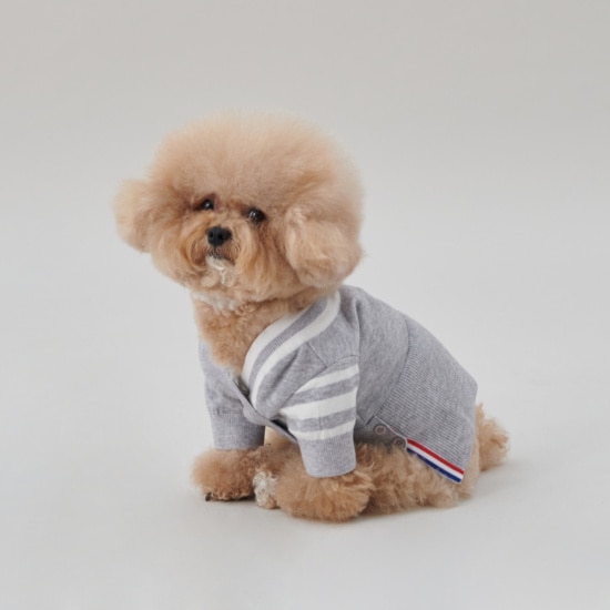 트리플트랙 강아지 스웨터
